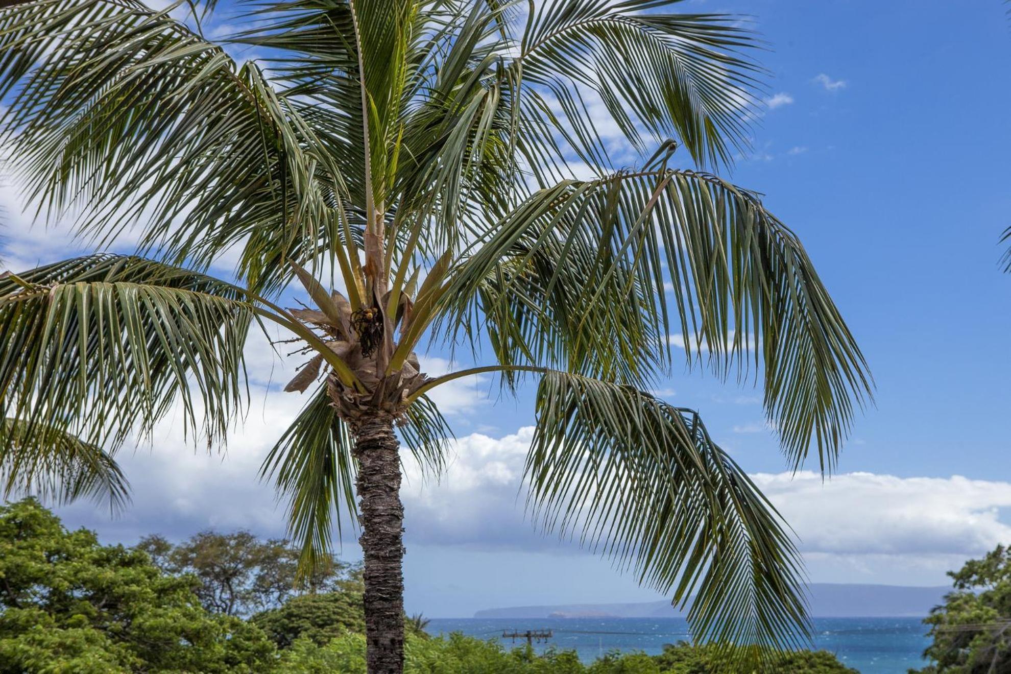 Апартаменти Maui Vista By Coldwell Banker Island Vacations Кіхеї Екстер'єр фото